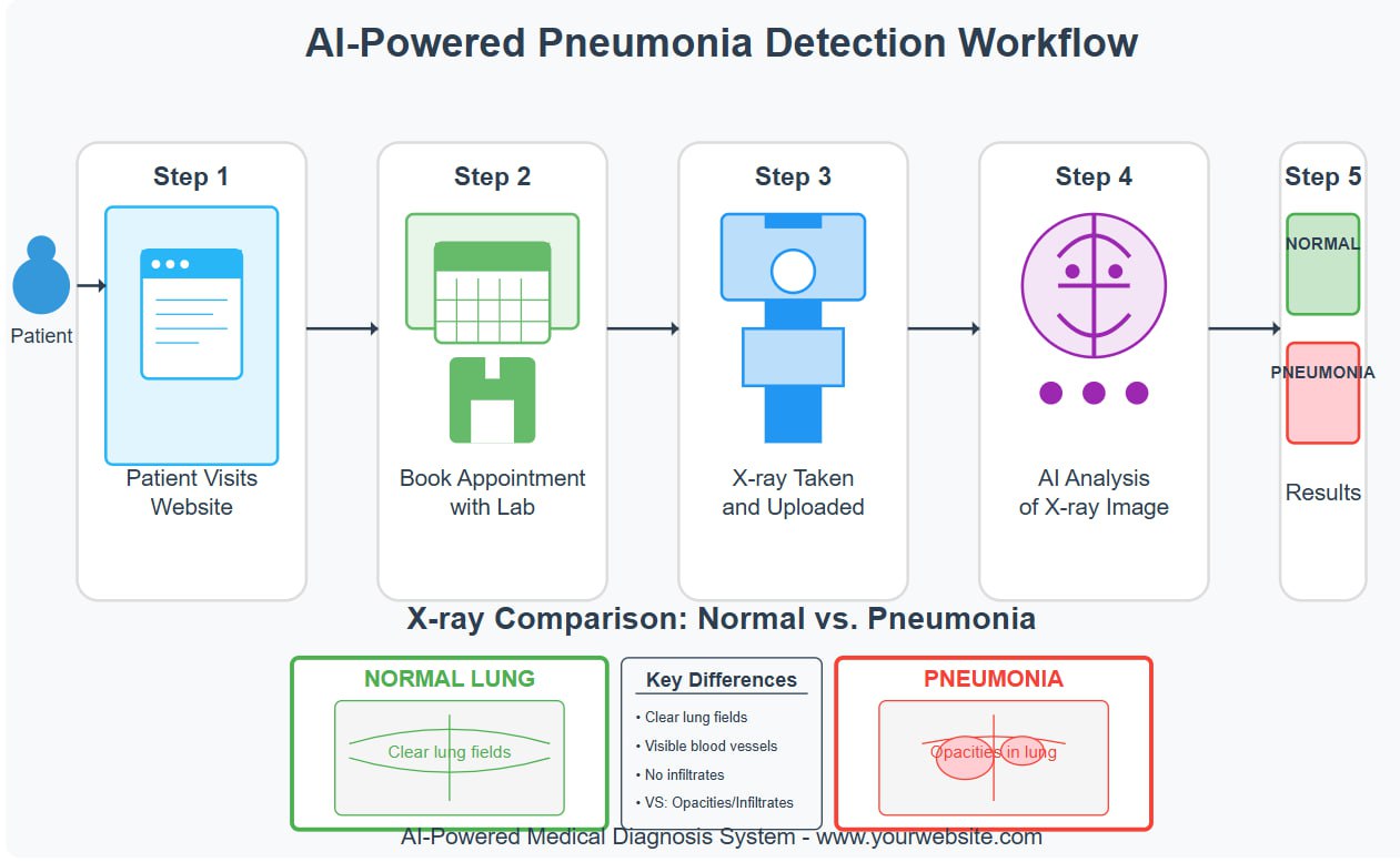 CNN model calssification medical 